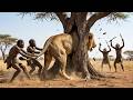 Life 4.2 Millions of Years Ago - Primitive Man Saves a Trapped Lion