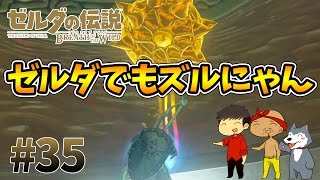 【任天堂スイッチ】ゼルダの伝説#35　ゼルダでも堂々とズルにゃんしました【生声実況】
