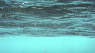 Eric Lau - Water