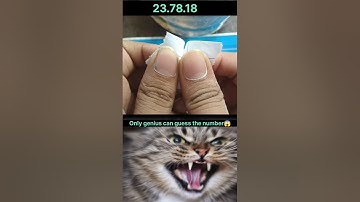 99% People Failed to Guess the Number!!!? #shorts #cat #challenge#bombastic