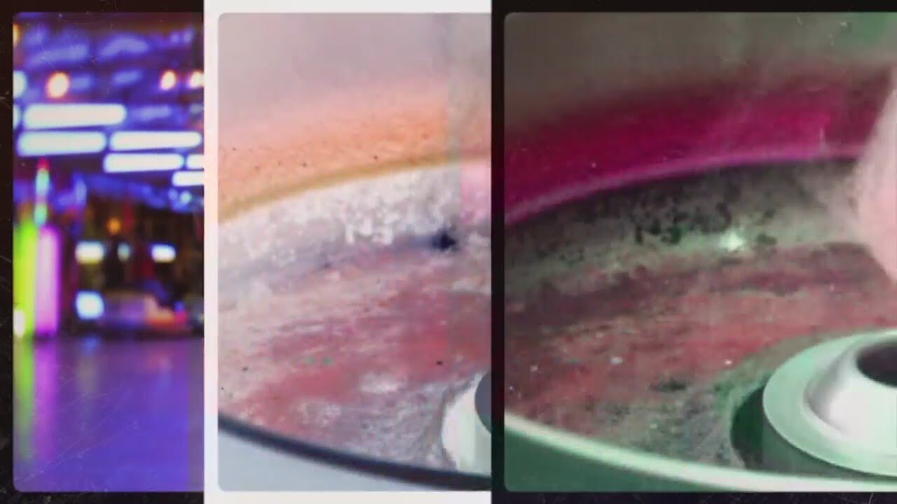 Chester s Joins News 4 From Erie County Fair YouTube chester-s-joins-news-4-from-erie-county-fair-youtube