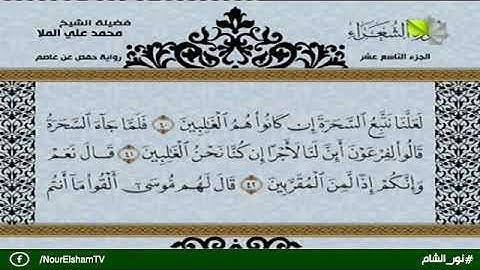 تلاوة عطرة من الذكر الحكيم وما تيسر من سورة الشعراء