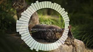 Xotx  Kepedihan Untuk Kita cover