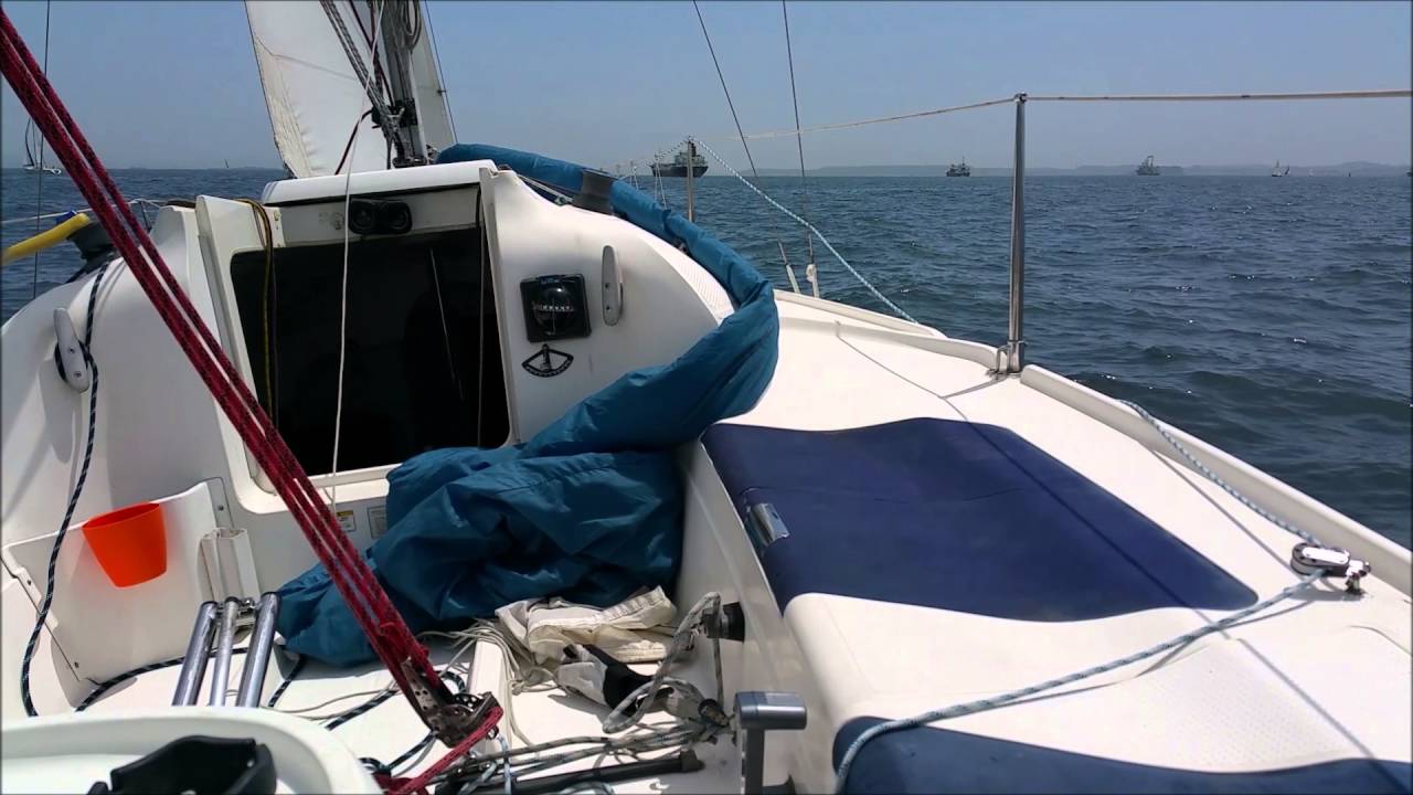 selfish cats - YouTube