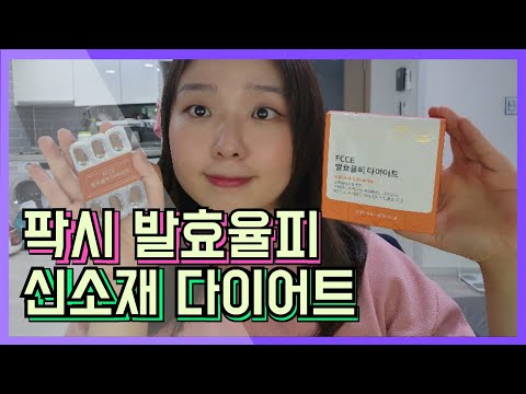 연예인섭외진행사례