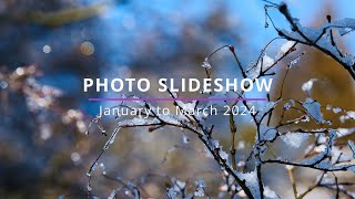 PHOTO SLIDESHOW January to March 2024  4KHDR