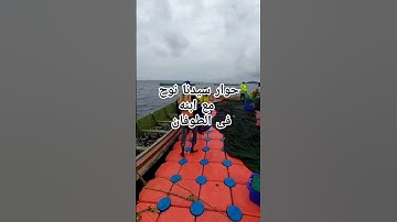 حوار النبي نوح مع ابنه / سوره هود / عبد الباسط عبد الصمد #اكسبلور #القران