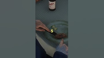 RDR2 - Yes… the developers actually thought of this #shorts #rdr2 #reddeadredemption