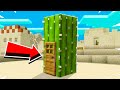 HOW TO LIVE INSIDE CACTUS IN MINECRAFT!