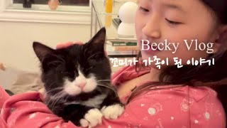 Becky Vlog | 길냥이 꼬미가 가족이 된 이야기