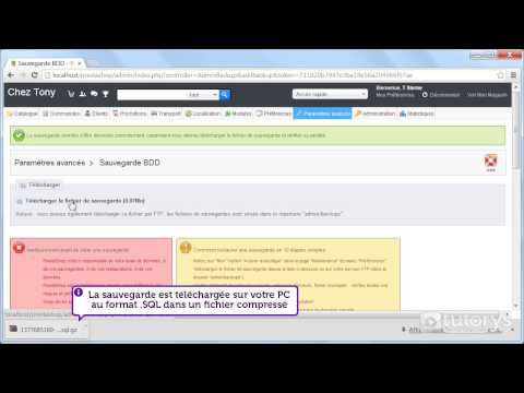 Comment sauvegarder la base de données de votre site web avec Prestashop