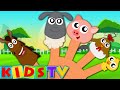 Finger Family Animal | Songs for Kids and Children Nursery Rhymes | KidsTV