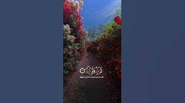 سورة الإخلاص ♡ عبد الباسط عبد الصمد: تلاوة خيال.
