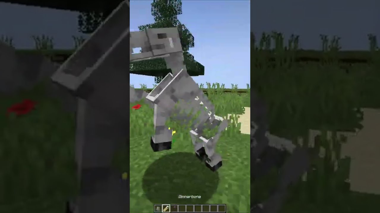 Dinnerbone Minecraft 