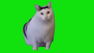 Cat Saying Huh Barks Meme Green Screen Template