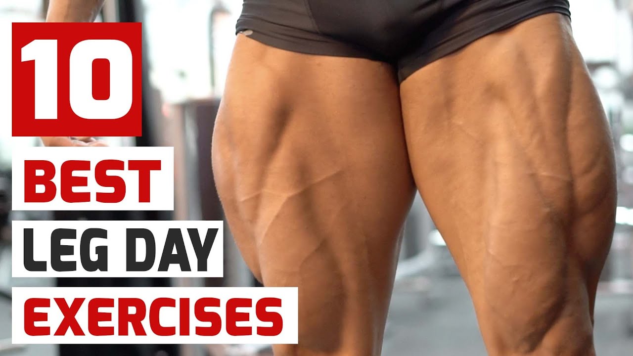 Top 10 Best Leg Day Exercises 