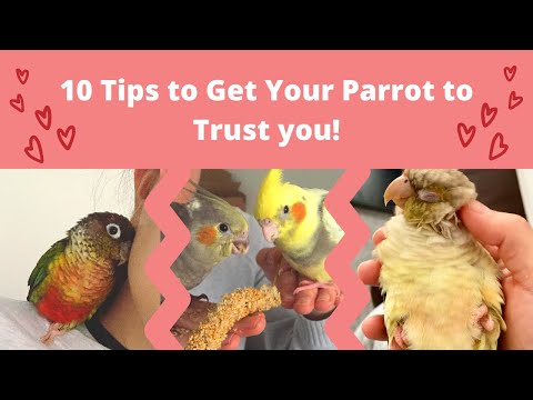 10 Tips to