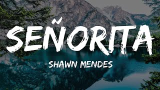 Shawn Mendes, Camila Cabello - Señorita Letra Resimi