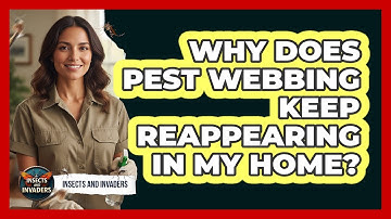 Why Does Pest Webbing Keep Reappearing In My Home? - Insects and Invaders