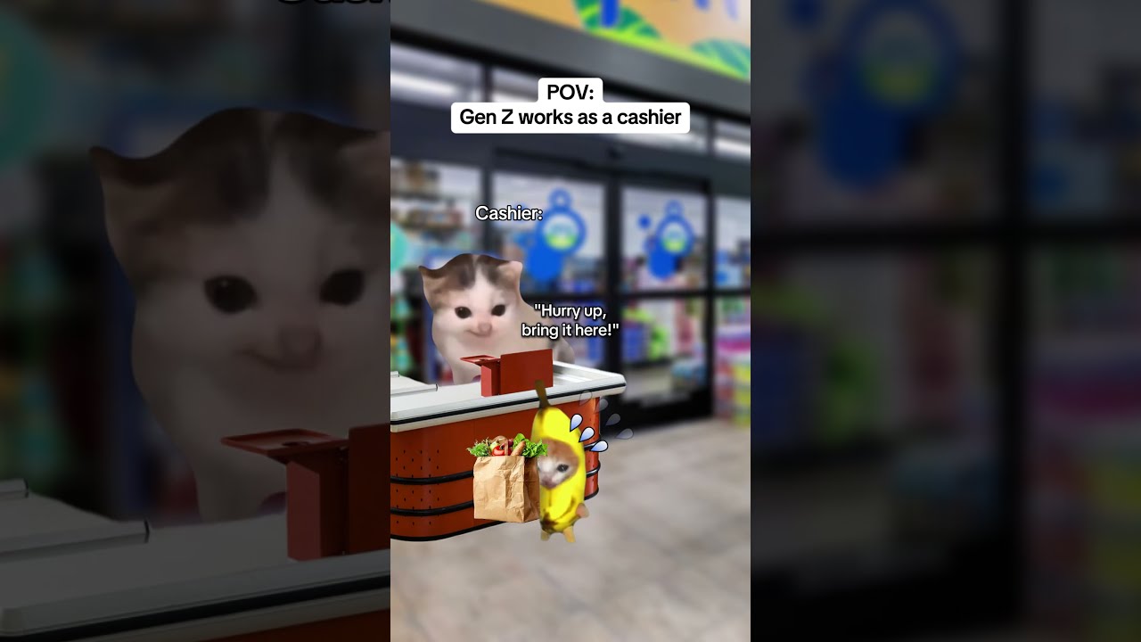 CAT MEMES Gen Z Works As A Cashier Catmemes Relatable Relationship