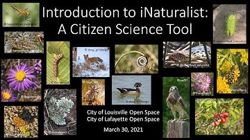Introduction to iNaturalist: A Citizen Science Tool