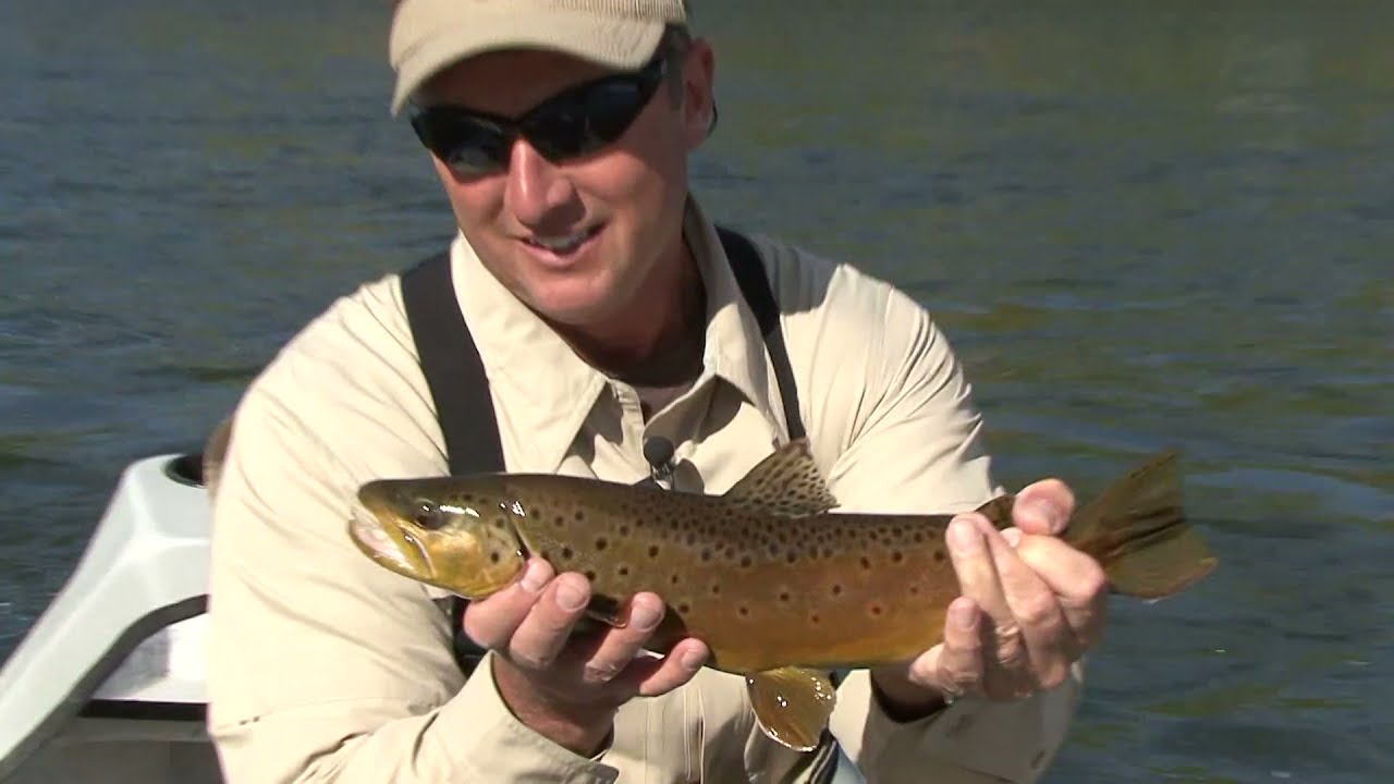 Fly Fishing in Montana on the Big Horn YouTube