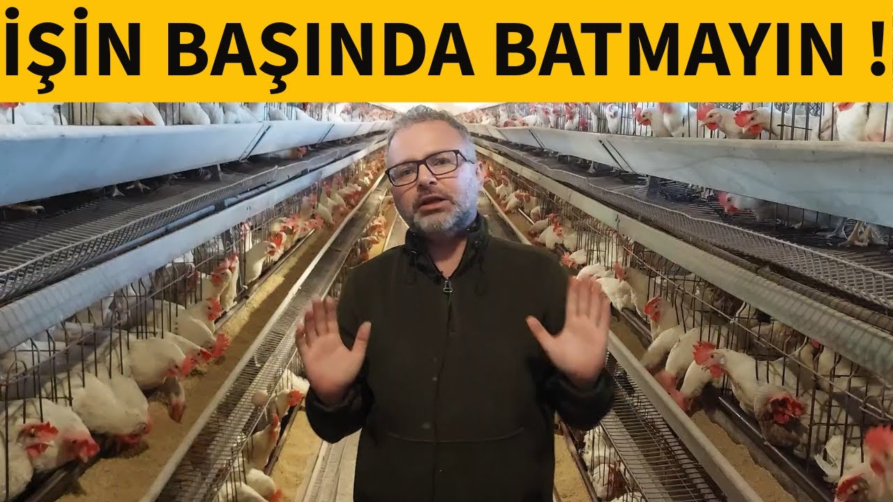 310 TL YE ALDIĞIM TAVUK 240 TL YE ALDIĞIM TAVUKTAN DAHA UCUZMUŞ !