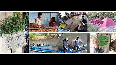 Mô hình khởi nghiệp Con Tôm rừng ở đất Cà Mau của anh chàng kiến trúc sư