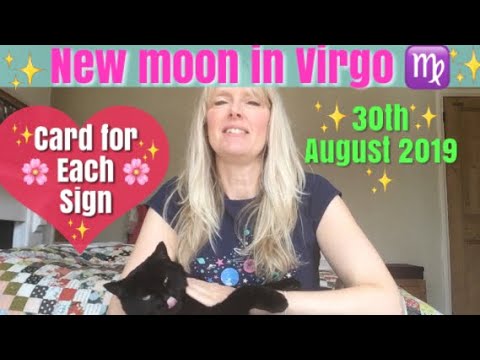 daily-tarot-august-30,-2019-~-new-moon-in-virgo-(-**-individual-card-pull-for-each-star-sign-**)