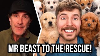 Rescuing 100 Abandoned Dogs - My Reaction to the Mr BEAST Video by Robert Cabral 11,403 views 3 months ago 5 minutes, 44 seconds
