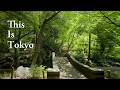 Discover Azabu: Tokyo’s Most Luxurious Neighborhood