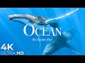 The ocean 4k ultrarelaxation film  peaceful relaxing music  4k ultra.