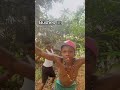 Bushes #1millionviews #bestcomedyskit #trending #funny