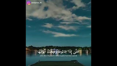 القارئ ياسر الدوسري..سورة الزمر...🌸🌿