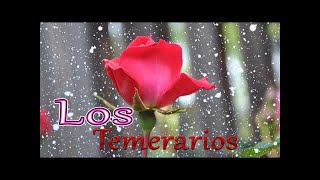 Los Temerarios Romántico   Los Temerarios Mix Para Enamorarse Mas   Los Temerarios Puros Exitos