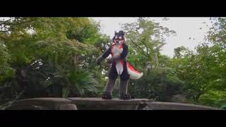 Dancing Furrie on the rock!