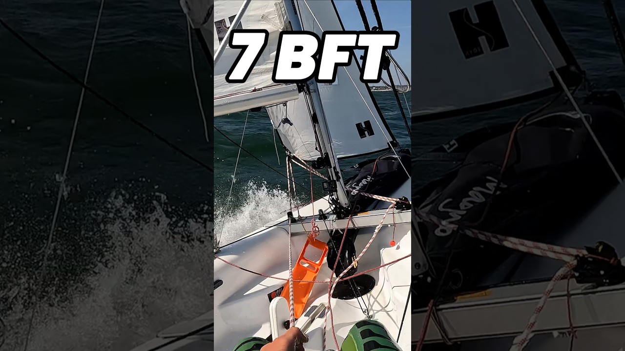 ⁣Topaz Magno bei 7 BFT