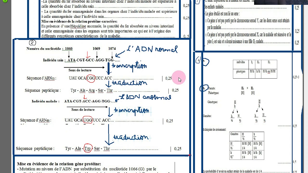 L adn Support De L information Génétique 2nde Controle Corrigé
