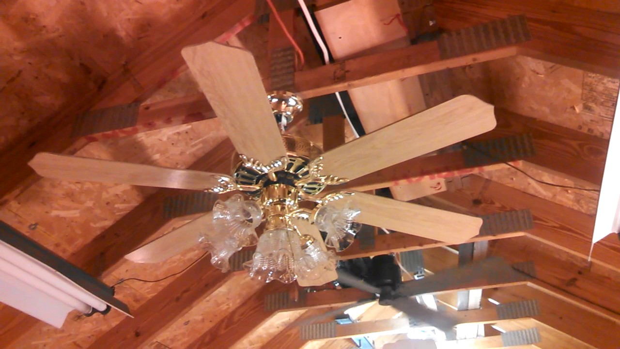 Jcpenney Ceiling Fans Shelly Lighting