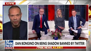 Dan Bongino on Twitter's shadow bans being exposed: Liberal media, Dems ‘not going to apologize’