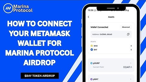How To Connect Your Metamask Wallet For Marina Protocol Airdrop | How To Import $BAY Token