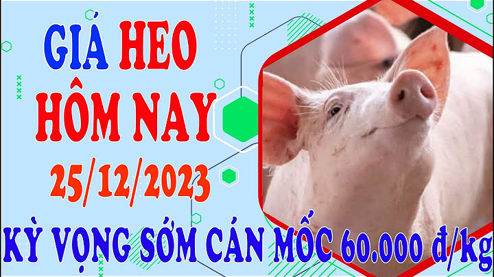 Giá lợn hơi ngày hôm nay ở thanh hóa