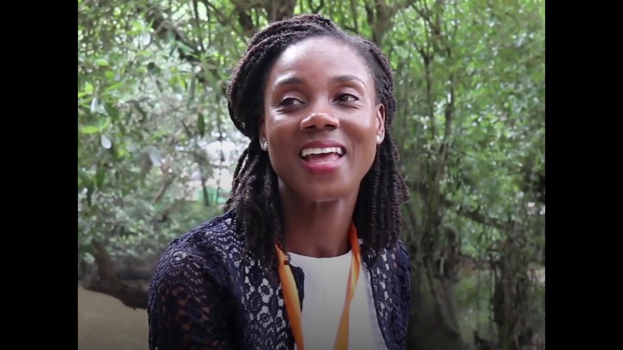 Sylvia Lopez Ekra Remittances A Powerful Engine For Development YouTube