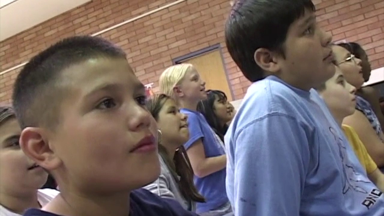 Childsplay 1977-2017