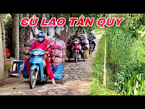 Video CÙ LAO TÂN QUY 2022 Đảo Trái Cây Tại Miền Tây Khung... - youtube