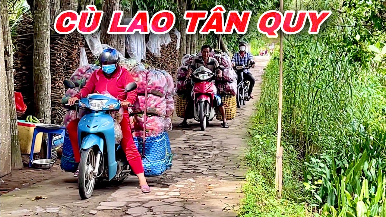 CÙ LAO TÂN QUY 2022 Đảo Trái Cây Tại Miền Tây Khung Cảnh Mát Mẻ Nhẹ Nhàng | Khương Nhựt Minh