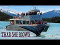 &quot;🐋 Whales, Glaciers, and Unforgettable Adventures in Juneau, Alaska! 🏔️ @ohmaitravels7829&quot;