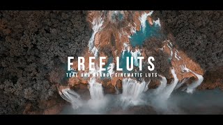 10 Cinematic LUTs For Free screenshot 5