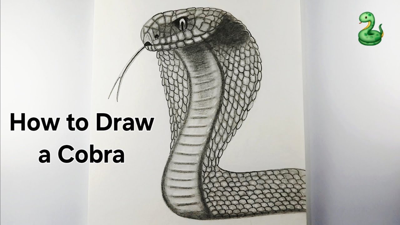 🐍 How to Draw a Cobra Snake || Realistic Cobra Snake Drawing || Snake Drawing Step by step