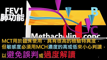 Methacholine Challenge Test in 3D 2019